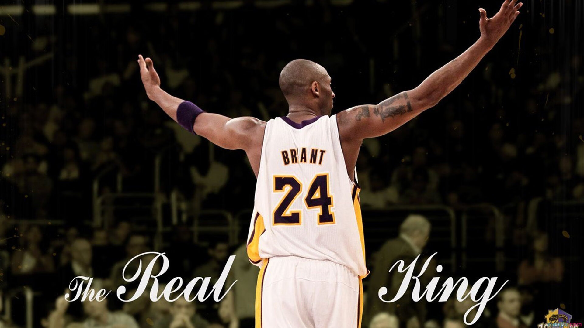 风城之刃撕裂布鲁克林防线，拉文末节狂飙主宰开拓者篮网之战